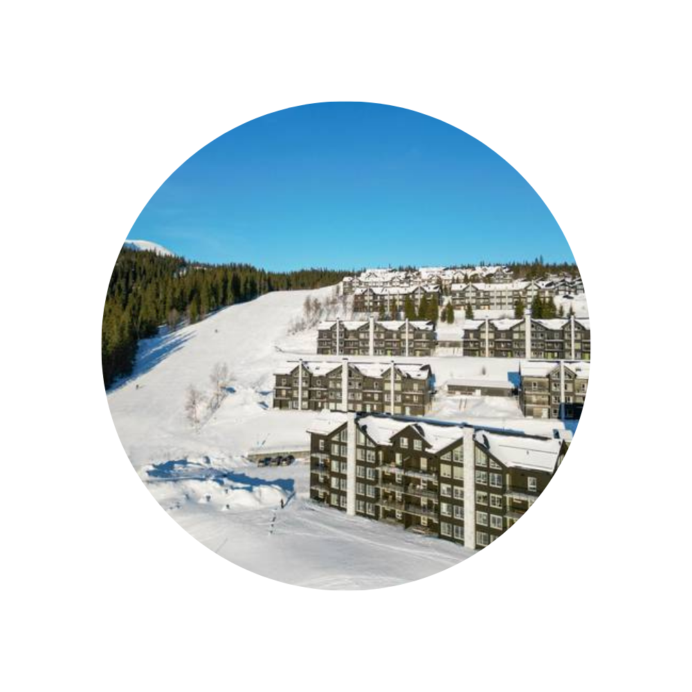 Ekonomisk-forvaltning-aare.png (1)